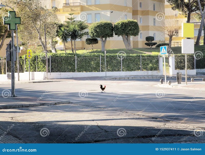 Descubre el Misterio de la Ruta del Pollo en el Casino de España, chicken road españa