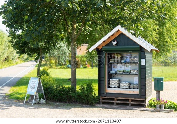 Overview of chicken road demo